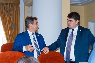 Вопрос о бродячих собаках решил закон